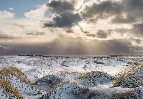 Coastal landscape with dunes at iconic Stokksnes during winter and stormy conditions Iceland